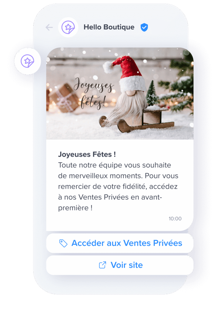 visuel exemple message RCS f&ecirc;tes de no&euml;l et ventes priv&eacute;es