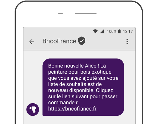 sms pour le commerce