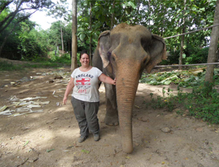 elephant-blog elephant-blog