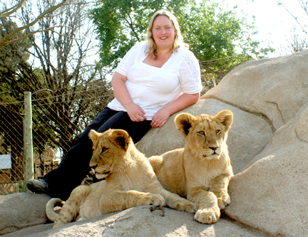 lions lions